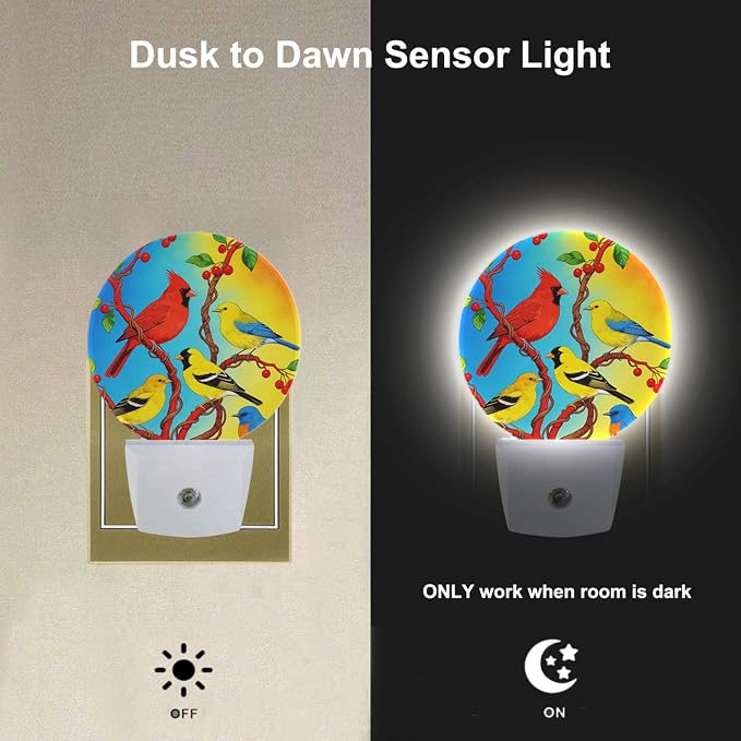 Lovely Bird Lamp Parrot Night Light Parrot with Colourful Feather Night Lights Plug into Wall for Boys Girls, Plug-in Nightlight 0.5W LED Lighting for Stairway Hallway Bedroom