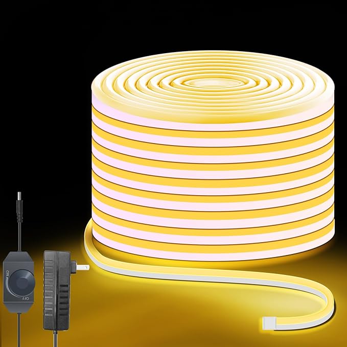 Neon Rope Lights 32.8ft, 3000K Warm White Dimmable LED Strip Lights, 24V Flexible Cuttable IP67 Waterproof LED Rope Lights for Bedroom Indoor Outdoor (Power Adapter Included)
