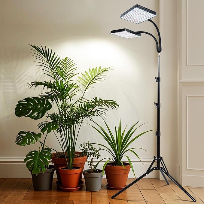2Head Grow Light with Stand, 50 Watt Grow Lights for Indoor Plants, Natural Sunlight Full Spectrum Plant Growing Lamps for Tall Houseplants & Bonsai Tree, 4/8/12/16/20H 5-Mode Timer