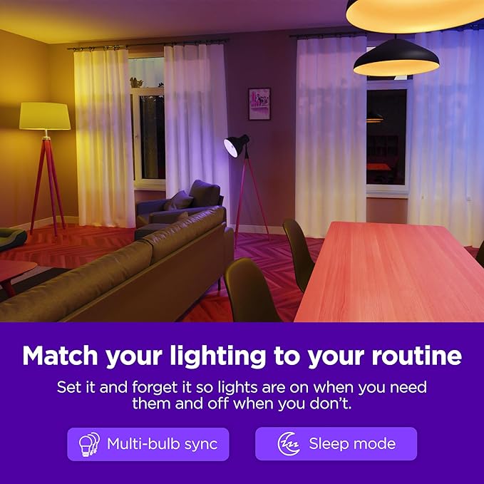 Roku Smart Light Bulbs (White, 1-Pack) - Dimmable A19 Lightbulbs with Adjustable Brightness & Temperature - WiFi Smart Bulbs Works with Roku Voice, Alexa & Google Assistant, No Hub Required