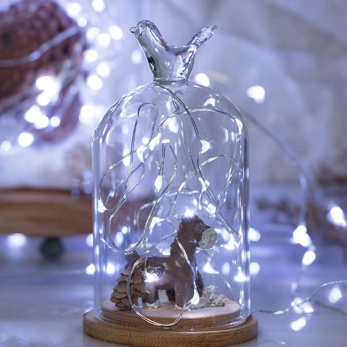 Brightown 12 Pack 7ft Battery Operated Fairy Lights for Holiday Decor | 20 LED Silver Wire Starry Light for Table Centerpieces, Mason Jars DIY Picture Walls Shelves Arts Crafts Trees Branches Decor