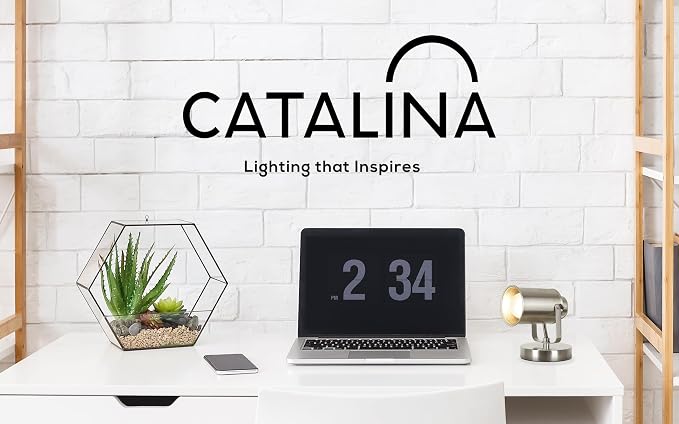 Catalina Lighting 18775-012 Modern Multipurpose Spotlight Desk or Wall Mount Accent Lamp, 6", Dark Bronze