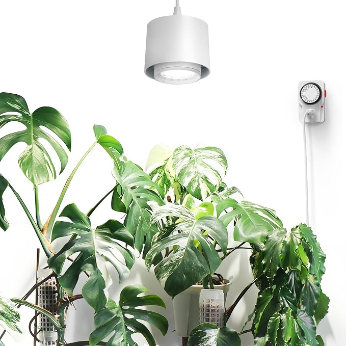 Barrina TR40 Hanging Plant Lights for Indoor Plant, 40W 5000K Full Spectrum | Adjustable Beam Angle (15°-60°), High PPFD, Spotlight Grow Light with Timer for Indoor, Large Tall Plant, Flowers, White
