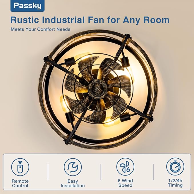 Passky 20" Caged Ceiling Fans with Lights and Remote, Low Profile Fandelier | Reversible DC Motor, 1/2/4H Timer, 6 Speeds, Farmhouse Style, Quiet Operation, for Bedroom, Kitchen, Dining Room, Living Room