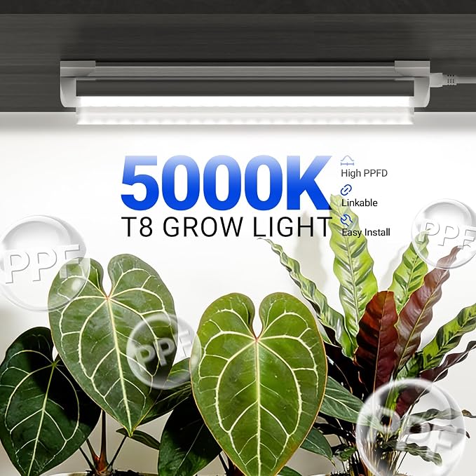 Barrina T8 1FT Grow Light, 5000K Full Spectrum LED Grow Light Strip, 6 Pack | 90W(6x15W), Linkable, High PPFD, V-shaped Reflector, Hanging Plant Growing Lamp for Seed Starting, Greenhouse, Indoor Plants