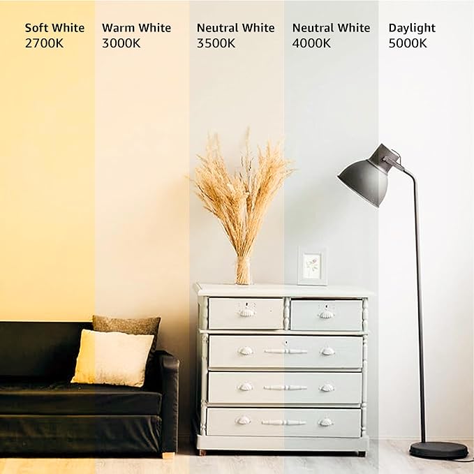 Amazon Basics A19 LED Light Bulbs, 60W Equivalent, 9W Energy Efficient, E26 Standard Base, Daylight White 5000K, Dimmable, 10,000 Hour Lifetime, 6-Pack