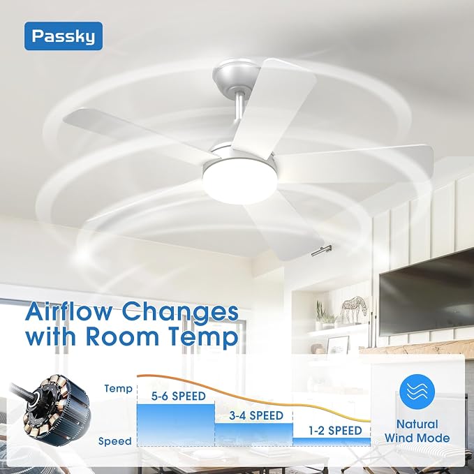 Passky 42 Inch Silver Sleek Ceiling Fans with Lights, Remote Control | 3-color dimmable light, quiet reversible DC motor, easy install, memory, Timer, bedroom, covered outdoor areas