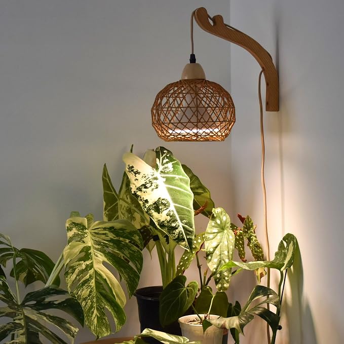 Hanging Grow Lights for Indoor Plants,3800K | 18W Wall-Mounted Decorative Grow Light with Boho Rattan Lantern Shade, 9.8FT Power Cord, for Indoor Plant Growing, Flowers