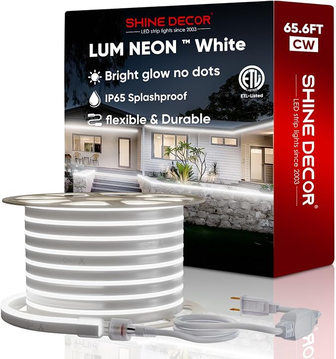 LED Neon Rope Lights AC 120V, Expandable & Cuttable 120LEDs/M Bright Strip Lighting, ETL Cold-Resistant & IP65 Waterproof for Indoor Outdoor, 8x16mm, 6300K Cool White, 65.6ft