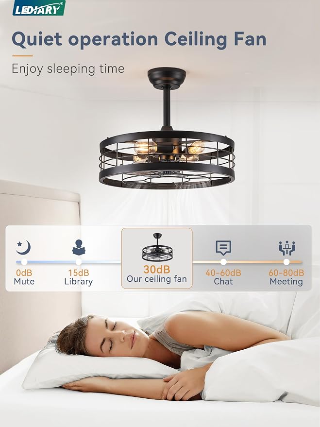 LEDIARY 20 inch Fandelier Caged Ceiling Fan with Light and Remote, Black | 6 Speed Adjustable,Timing, Quiet & Powerful DC, Small, Farmhouse, Industrial, Enclosed, Bladeless, Bedroom, Kitchen, Downrod