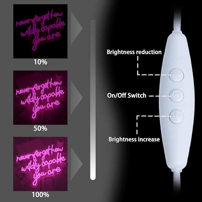 Never Forget How Wildly Capable You Are Neon Sign Dimmable Inspirational Letter Neon Light USB Powered Motivational Led Light Sign for Man Cave Bar Office Decoration (16.54 * 12.6)