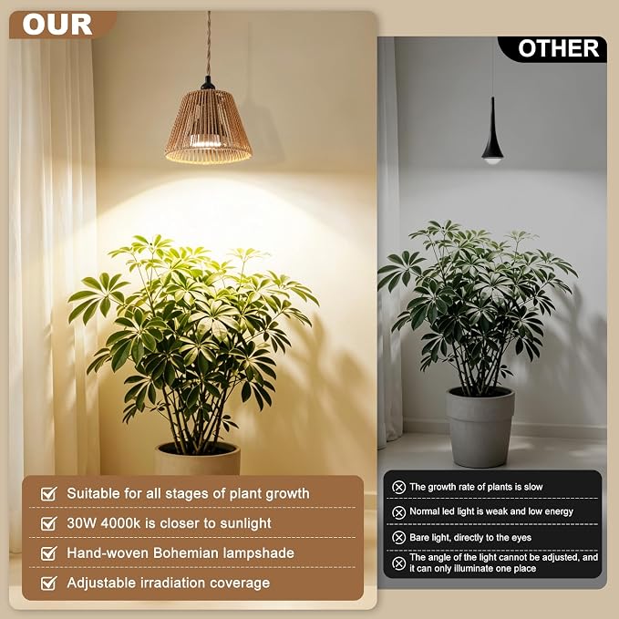 Hanging Grow Light, 30W LED Lamp with Timer for Indoor Plants | 4000K LED plant lamp with 15 ft cord, outlet timer, and boho paper rope shade for succulents, herbs, and low-light rooms.