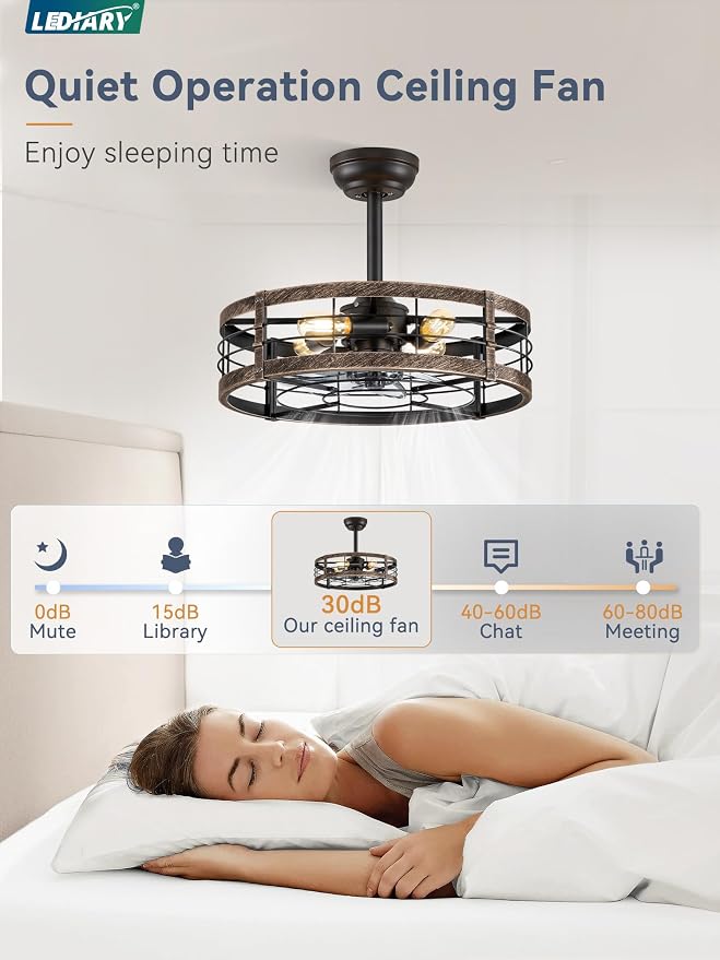 LEDIARY 20 inch Fandelier Caged Ceiling Fan with Light, Black Gold | 6 Speed Adjustable,Timing, Quiet & Powerful DC, Small, Farmhouse, Industrial, Enclosed, Bladeless, Bedroom, Kitchen, Downrod
