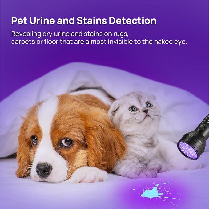 2 Pack UV Flashlight Black Light, Consciot 51 LED 395nm Ultraviolet Blacklight, Pet Urine Detector for Dog/Cat Urine, Dry Stains, Bed Bug, Resin Curing, Matching with Pet Odor Eliminator