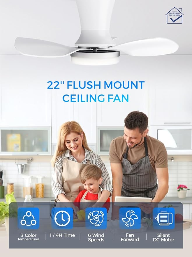 LANMEL Metal Ceiling Fan with Lights and Remote, 22 Inch, Silver & White | Modern Low Profile Flush Mount, Reversible, 3CCT Dimmable, Quiet, LED, For Bedroom, Living Room, Indoor/Outdoor Patio Use