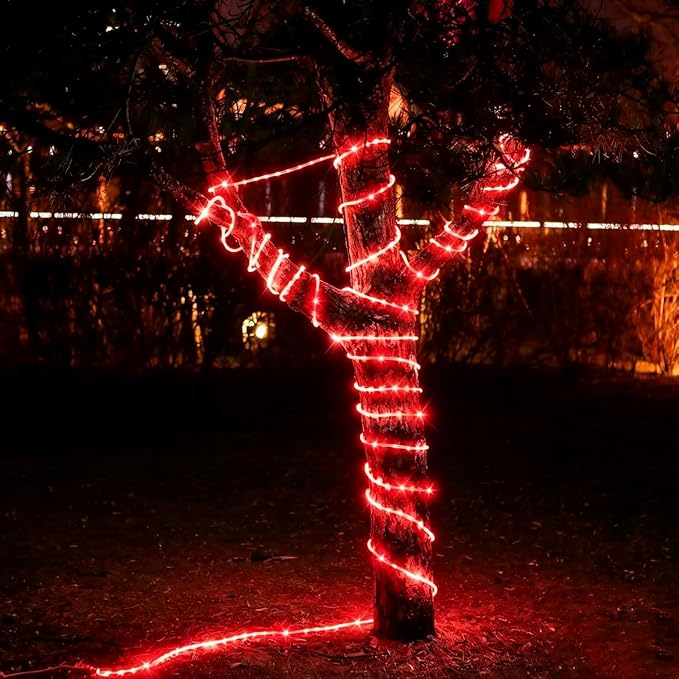 DINGFU 33ft LED Rope Lights,110V 2 Wire Connectable Christmas Rope Lights,240 LED,Waterproof Indoor Outdoor Clear Tube Light Rope for Deck, Patio, Pool, Camping, Landscape Lighting Decorations (Red)