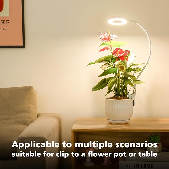 LORDEM Grow Light,Full Spectrum Pot Clip LED Plant Growth Light with Auto On/Off Timer 4/8/12H,Plant Lamp with 360°Rotatable Gooseneck, 4 Dimmable Brightness, Ideal for Small Indoor Plants, 1 Pack