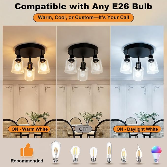 HiBay 3-Light Track Lighting Fixtures Ceiling Glass Directional Spotlight | Round 3 Heads with Glass Shades, Black Farmhouse Industrial, for Dining Area, Entryway, Closet, E26 Base