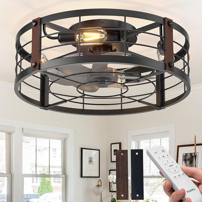 Passky 20" Caged Ceiling Fans with Lights and Remote, Low Profile Fandelier | Reversible DC Motor, 1/2/4H Timer, 6 Speeds, Farmhouse Style, Quiet Operation, for Bedroom, Kitchen, Dining Room, Living Room