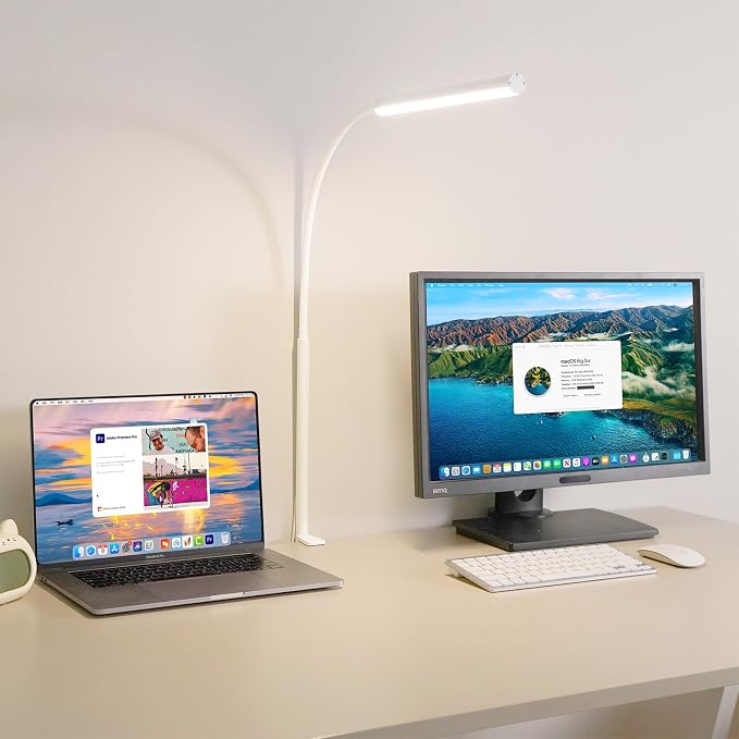 LED Desk Lamp for Office Home, Adjustable Flexible Eye-Caring Desk Light with,5 Modes 10 Brightness Adjustment, USB Adapter Desk Lamp with Clamp-LK-W