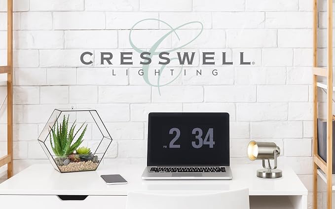 Catalina Lighting 18775-015 Modern Multipurpose Spotlight Desk or Wall Mount Accent Lamp, 6", Brushed Nickel