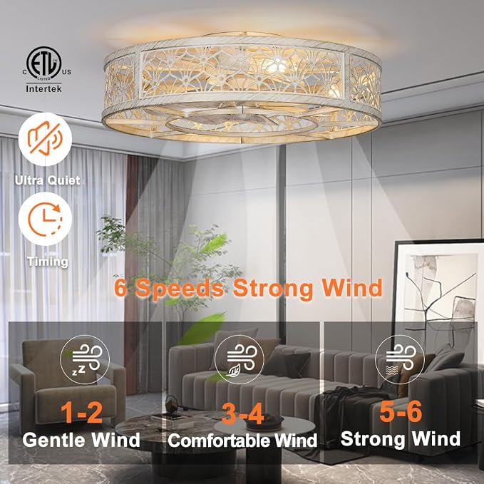 SHLUCE 22" Farmhouse Caged Ceiling Fan with Light, Flush Mount Low Profile Ceiling Fan with Lights, Large Bladeless Fandelier Ceiling Fan with Light and Remote for Kitchen, Bedroom, White Gold - ETL