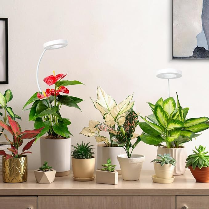 LORDEM Grow Light,Full Spectrum Pot Clip LED Plant Growth Light with Auto On/Off Timer 4/8/12H,Plant Lamp with 360°Rotatable Gooseneck, 4 Dimmable Brightness, Ideal for Small Indoor Plants, 1 Pack