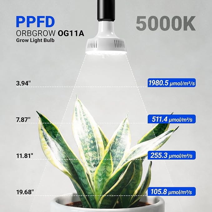 Barrina OG11A Grow Light Bulbs for Indoor Plant, 5000K 11W, 2 Packs, White | Integrated Dimming & Timing, E26 Plant Light Bulb, Full Spectrum, High PPFD for Seeds and Greens