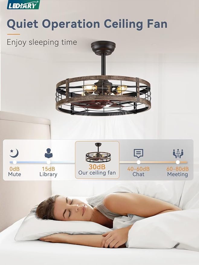 LEDIARY 22 inch Caged Fandelier Ceiling Fan Light with Remote, Black Gold | 6 Speed Adjustable,Timing, Quiet & Powerful DC, Large, Farmhouse, Industrial, Enclosed, Bladeless, Bedroom, Kitchen, Downrod