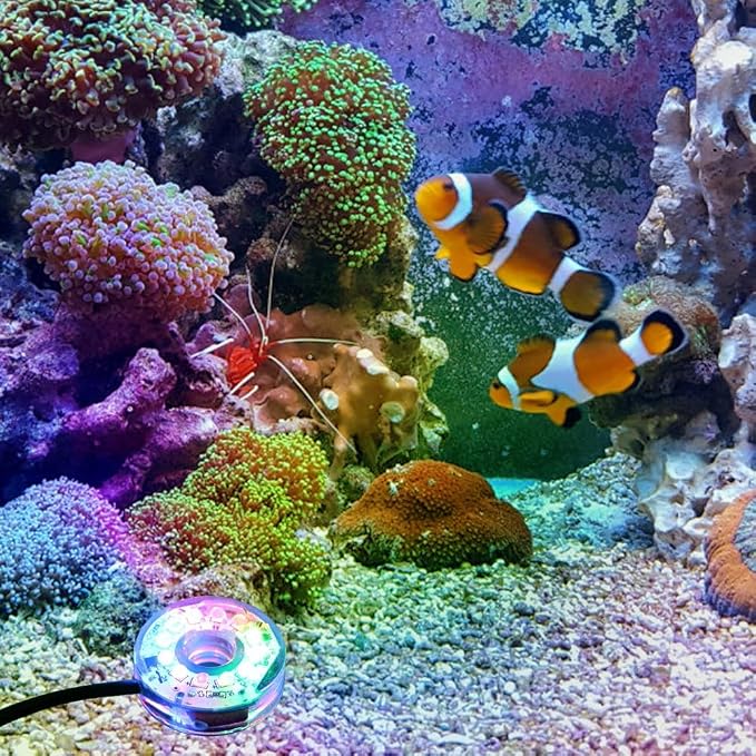 LED Aquarium Light, Colorful Submersible LED Light Waterproof USB Underwater Light for Aquarium Fish Tank