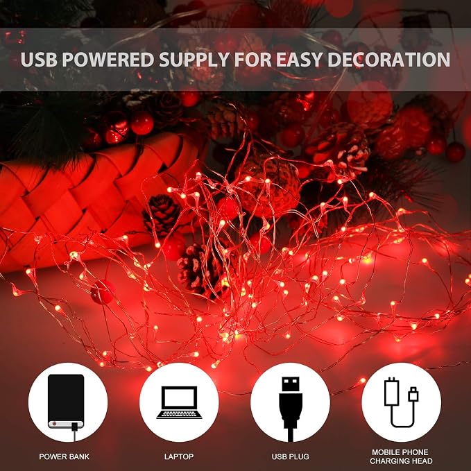 Ariceleo USB Powered Fairy Lights, 100 led 33 ft. USB Plug in Copper Wire USB String Lights for Bedroom Christmas Decoration Wedding Party Firefly Lights (Red,1 Pack)