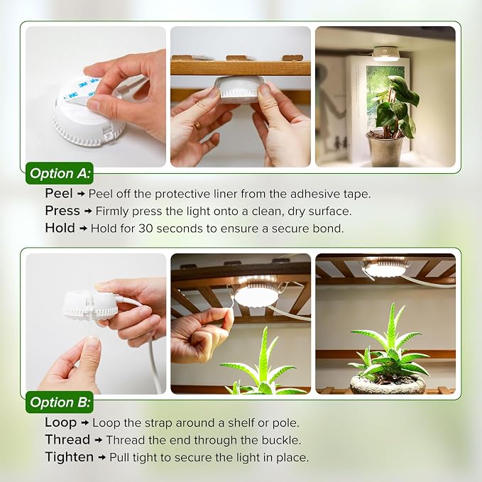 7W Small Grow Light for Indoor Plants with Timer and Dimming | Timer supports 3-, 6-, or 12-hour cycles,full-spectrum light for indoor plant use.