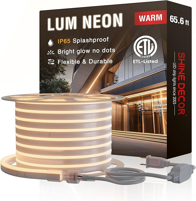 LED Neon Rope Lights 120VAC, 120LEDs/M Lum Strip Lighting End Extendable 2500K Warm White 65ft, Water & Cold Resistant for Outdoor Indoor, 4520LM Bright 8x16mm ETL Listed