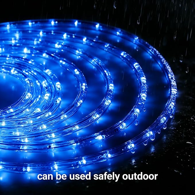 LED Rope Lights, 100ft 110V Waterproof Rope Lights for Outside, Outdoor String Lights, Ideal for Eaves, Backyards Garden, Christmas Decoration(Blue)