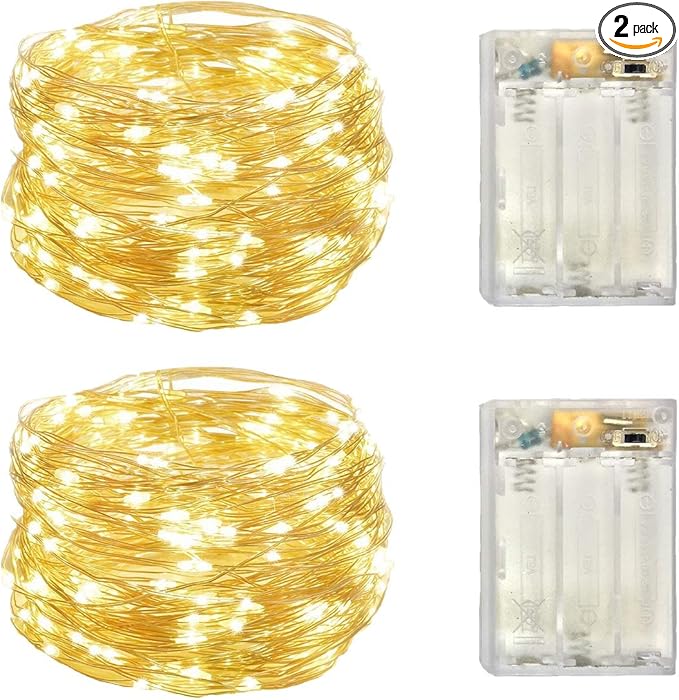 2 Pack Battery Operated Mini Lights,Indoor Led Fairy Lights with Timer 6 Hours on/18 Hours Off for Wedding Party Decorations,50 Count LEDs,18 Feet Silver Wire (Warm White)