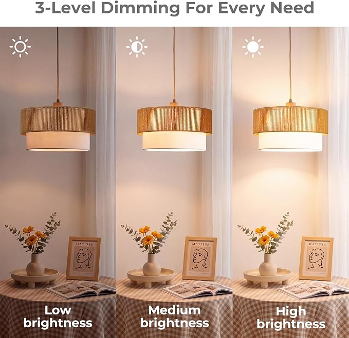 Qingmiao Boho Plug in Pendant Light, Handwoven Shade, 3 Way Bulb, 14ft Cord | Rattan Hanging Lamp Plug in, Dimmable Hanging Light Fixture for Living Room Bedroom Kitchen Ceiling Farmhouse Home Decor