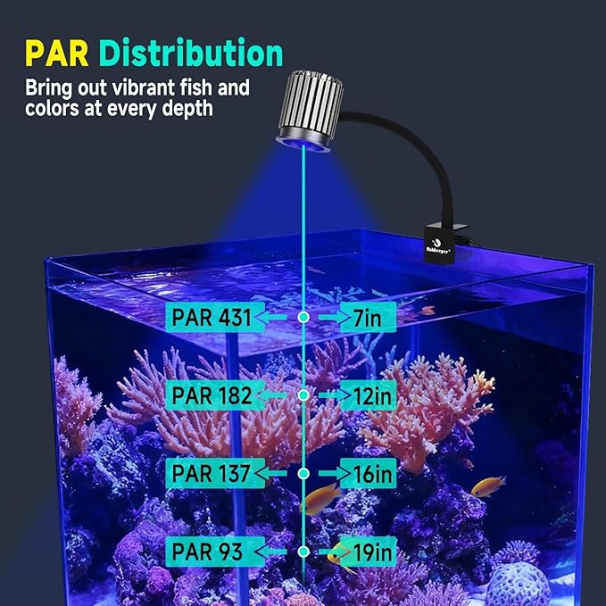 fishkeeper Clip On 24/7 Saltwater Aquarium LED Light, 12W Reef Lights for Coral DIY Color/Brightness Fish Tank Light with Timer for Coral Marine Tank Memory Function