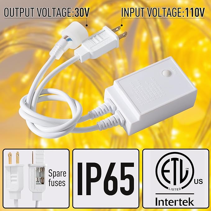 Waterproof LED Rope Lights, Connectable & Flexible with 8 Modes, Outdoor Lighting for Deck, Garden, Pool, Patio & Christmas Decor (Warm White, 100ft)