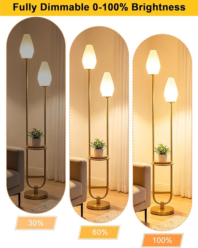 Lightdot 63IN Gold Floor Lamp with Shelf Mid Century Tall Standing Lamps with Rock-Shaped Bulb Included Modern Floor Lamp with 5Lbs Heavy Base for Living Room/Party/Sofa Beside/Corner Decor