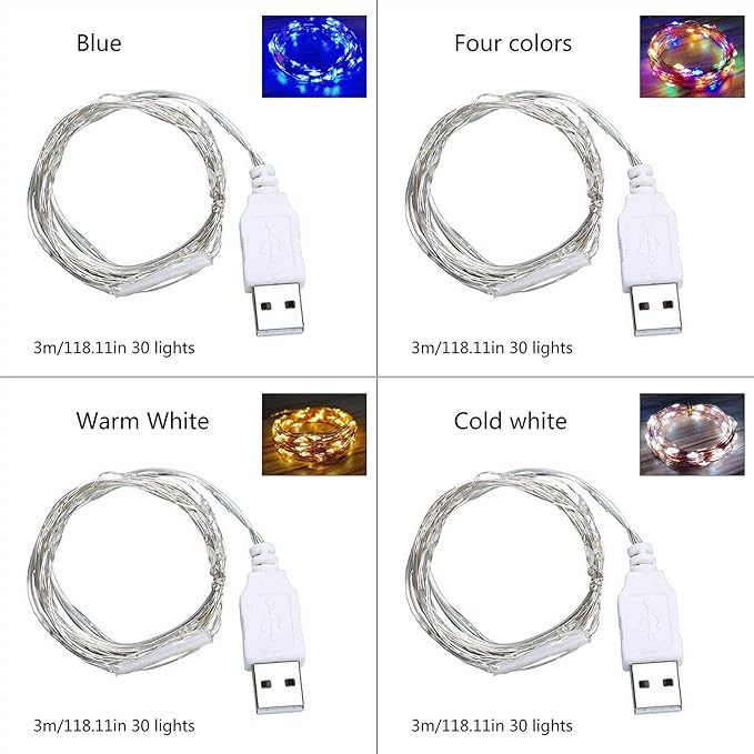 9ft 30 LED USB String Lights - Silver Wire Fairy Lights for Wedding, Party, Christmas & Festival Decorations, Multi-Color