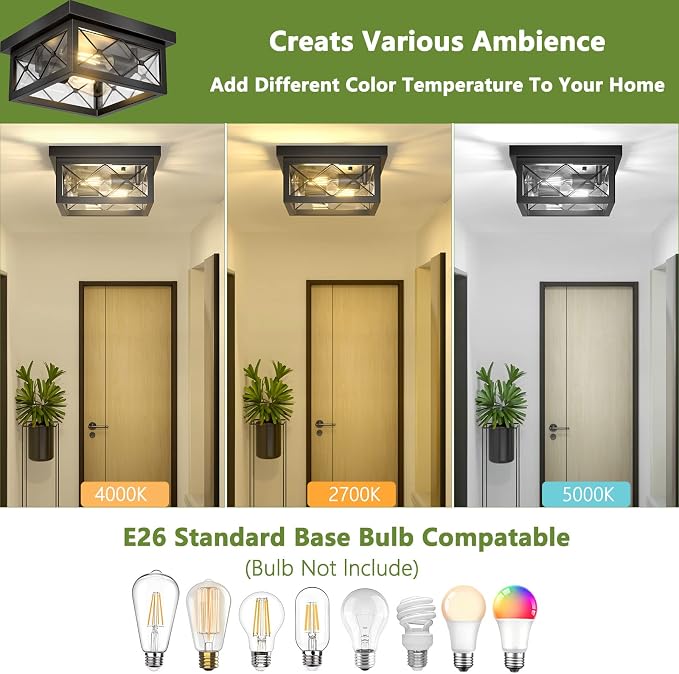 Asnxcju Farmhouse Light Fixtures Ceiling Mount, 2-Light Black Flush Mount Ceiling Light with Clear Glass Shade, Metal Cage Square Close to Ceiling Lamp for Bathroom Kitchen Porch (Bulbs Not Included)
