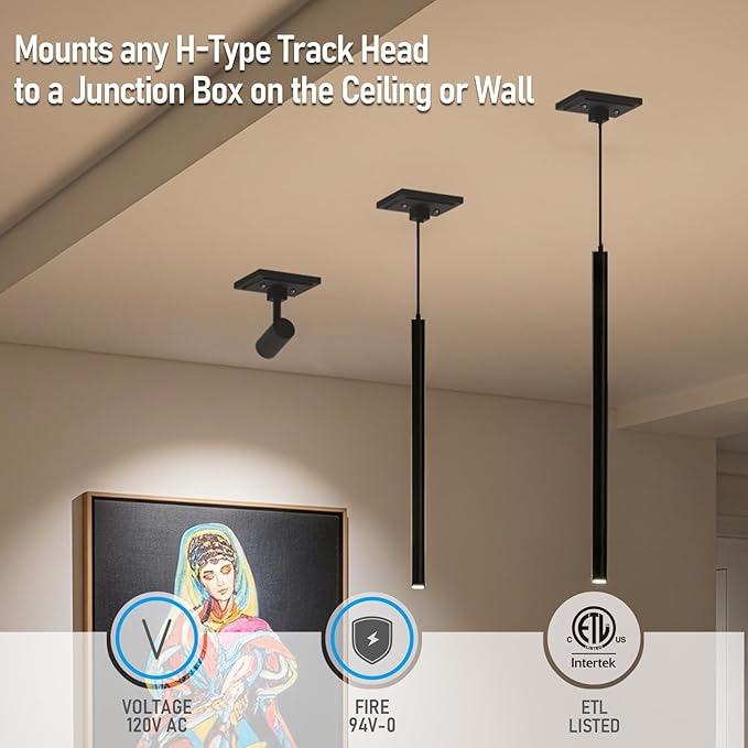 LEONLITE H Track Monopoint Canopy, Convert Track Fixtures and Pendants into Monopoints, ETL Listed, Flame Retardant Material, 120V, for H Type Track Lighting System, Black, Pack of 4