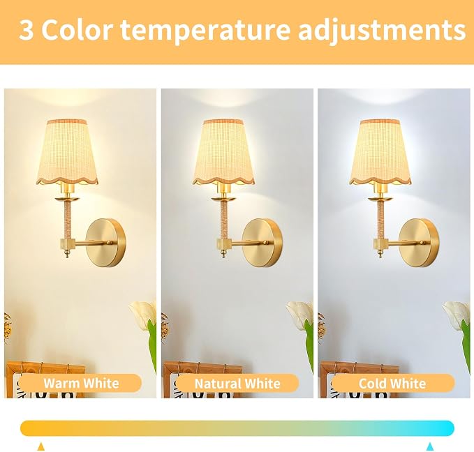 Boho Battery Operated Wall Sconce Set of 2, Medium Wireless Rechargeable Wall Lights with Rattan Shade, 12 RGB and 3CCT Dimmable Cordless Wall Lamps with Remote for Living Room