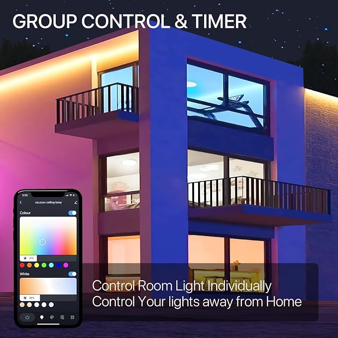 MELEGAN 12 Inch Smart RGB LED Flush Mount Ceiling Light (2 Pcs) | 24W Super Slim RGB Light, Color Changing, Music Sync, Flush Mount, Dimmable 2700-6500K, WiFi Alexa Google, for Kitchen Dining