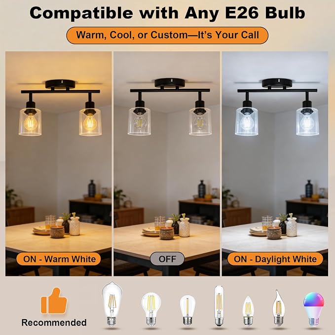 HiBay 2-Light Track Lighting Fixture Black, Glass Ceiling Wall Spotlight | Rotatable 2 Heads with Glass Shades, Modern Farmhouse Industrial, for Bedroom, Kitchen Sink, Loft, E26 Base