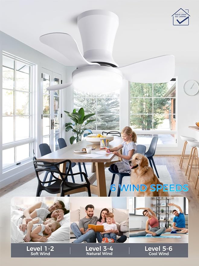 LANMEL Metal Ceiling Fan with Lights and Remote, 22 Inch, Silver & White | Modern Low Profile Flush Mount, Reversible, 3CCT Dimmable, Quiet, LED, For Bedroom, Living Room, Indoor/Outdoor Patio Use