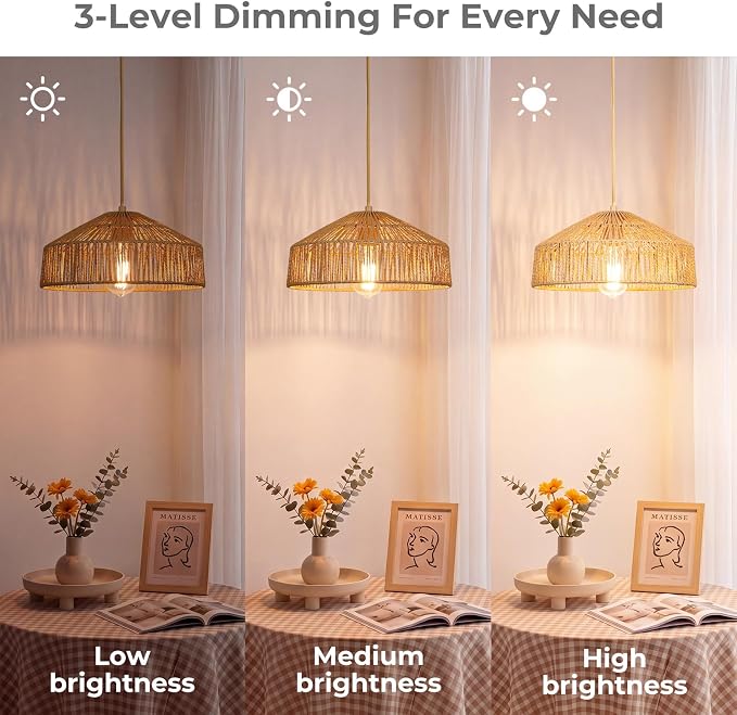 Qingmiao Boho Plug in Pendant Light, Handwoven Shade, 3 Way Bulb, 14ft Cord | Rattan Hanging Lamp Plug in, Dimmable Hanging Light Fixture for Living Room Bedroom Kitchen Ceiling Farmhouse Home Decor