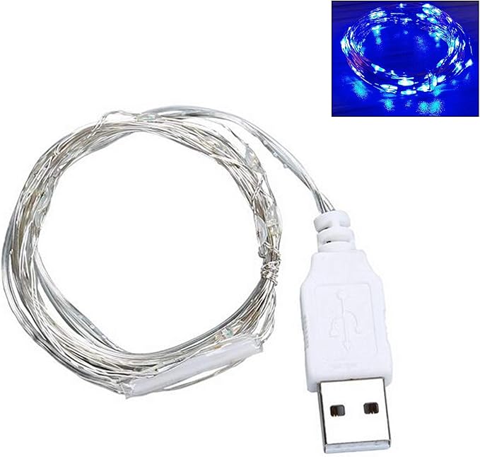 9ft 30 LED USB String Lights - Silver Wire Fairy Lights for Wedding, Party, Christmas & Festival Decorations, Blue