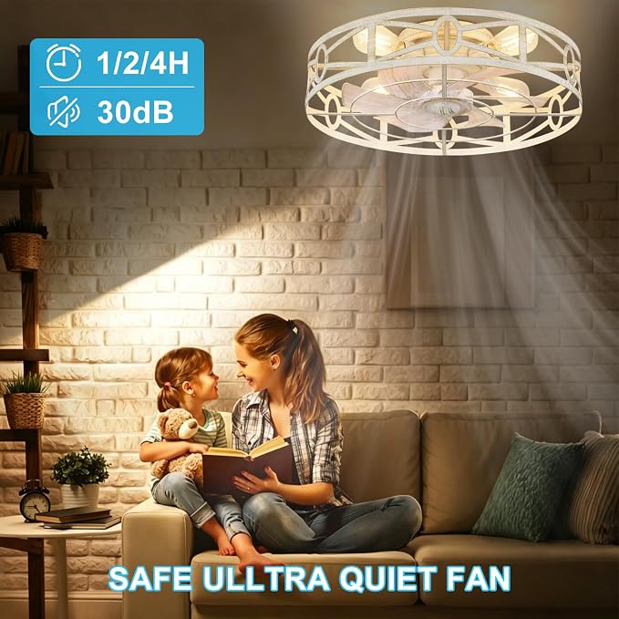 Depuley Flush Mount Ceiling Fan: 20" Caged Ceiling Fans with Remote Control for Patio Kitchen Bedroom - Low Profile Fandelier Lights Fixture Reversible 6 Speed Timer Cement 4*E26 Bulb Not Included