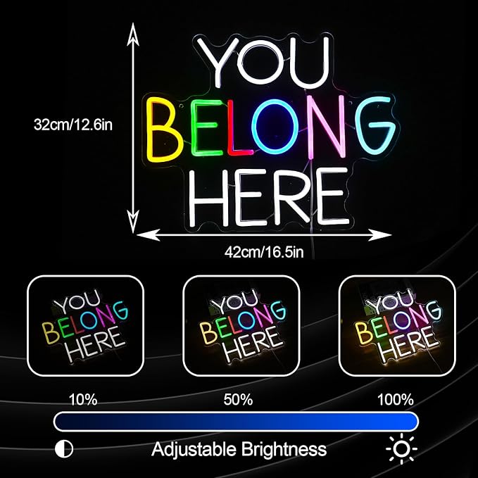 You Belong Here Neon Sign Dimmable Colourful LED Neon Light Sign for Wall Decor USB Powered Letters Neon Light for Bedroom Party Classroom Bar Neon Decor